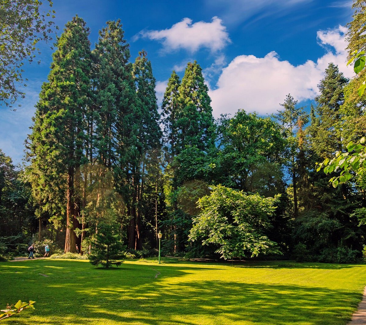 Sequoiafarm – Bild 1