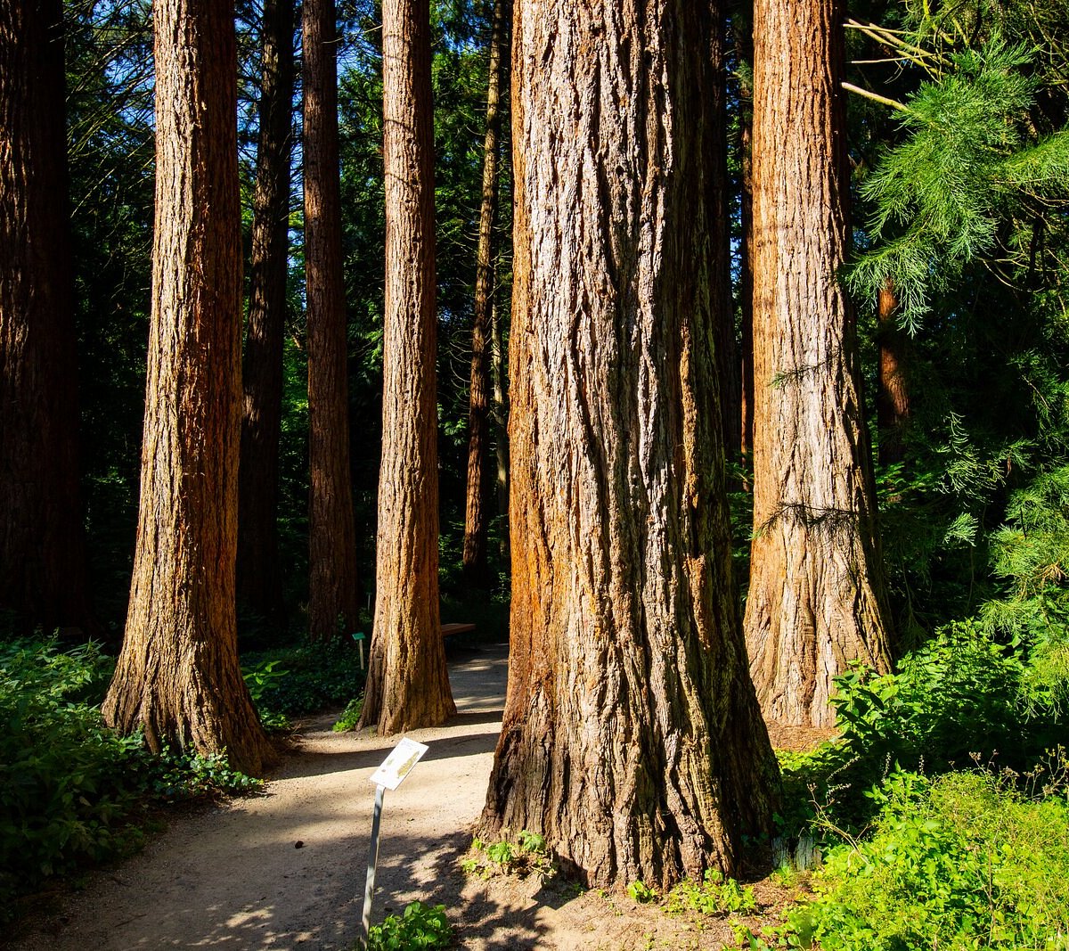 Sequoiafarm – Bild 2