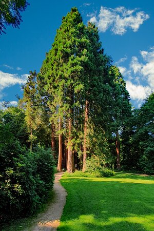 Sequoiafarm – Bild 3