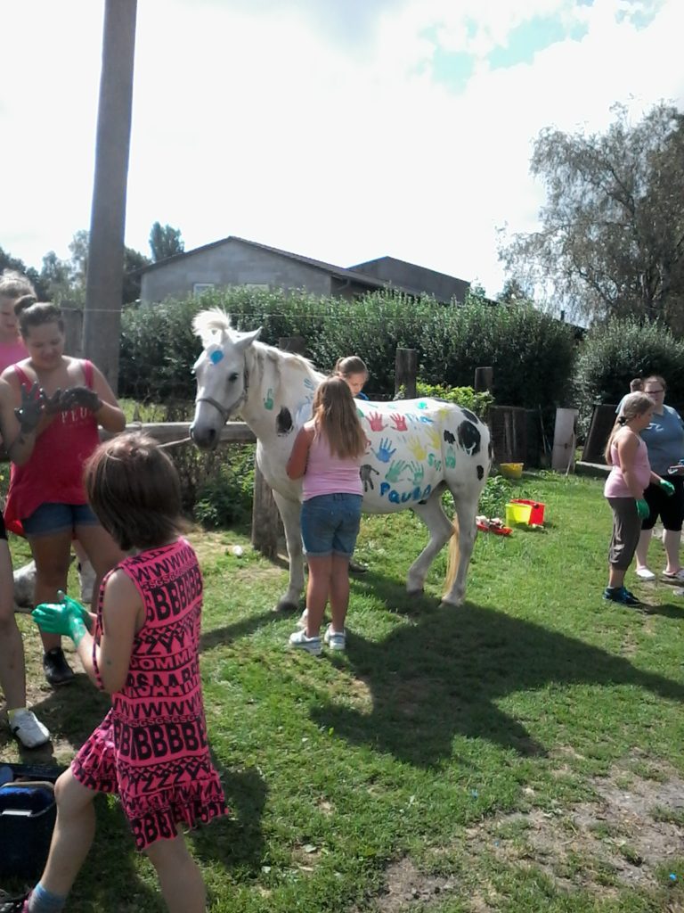 Bauernhof Stolz – Bild 5