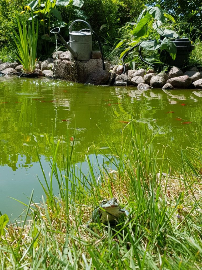 Bauernhof Stolz – Bild 6