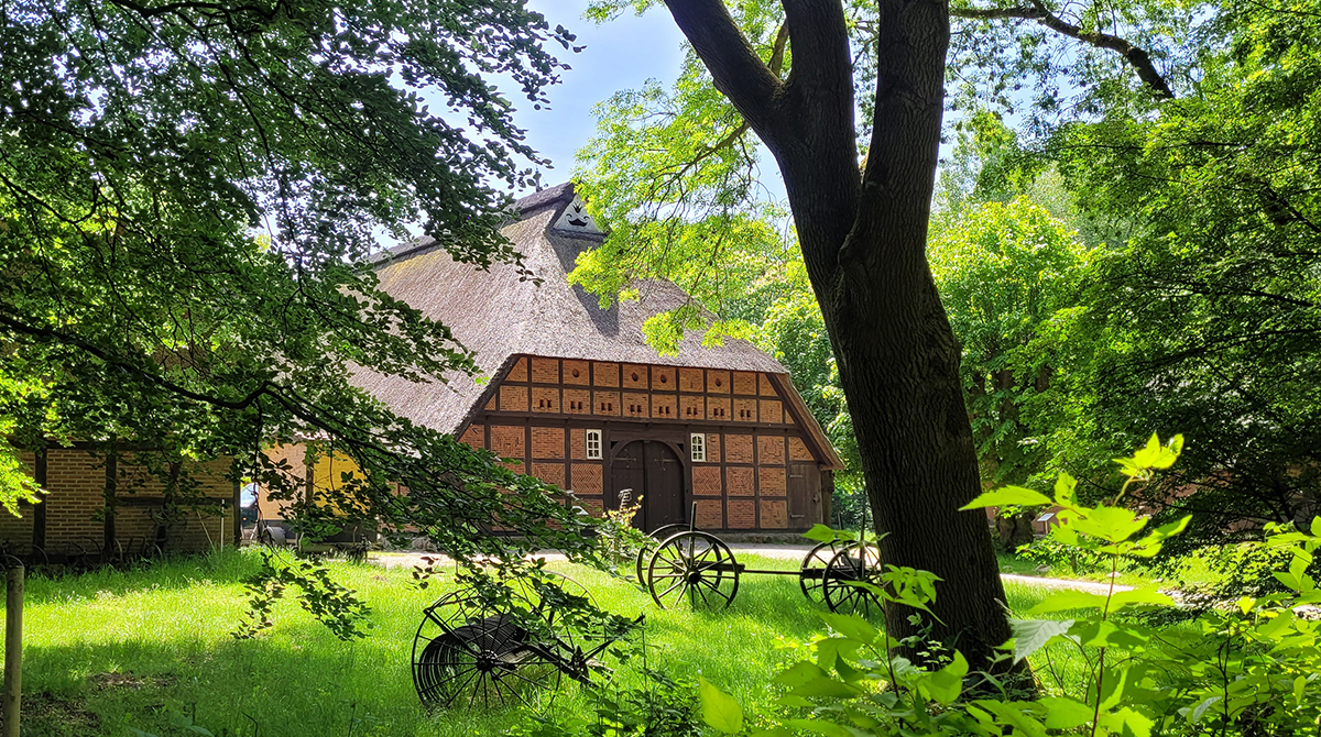 Stadtpark Speckenbüttel – Bild 6