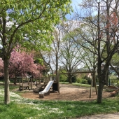 Spielplatz Wolfsbergallee – Bild 4