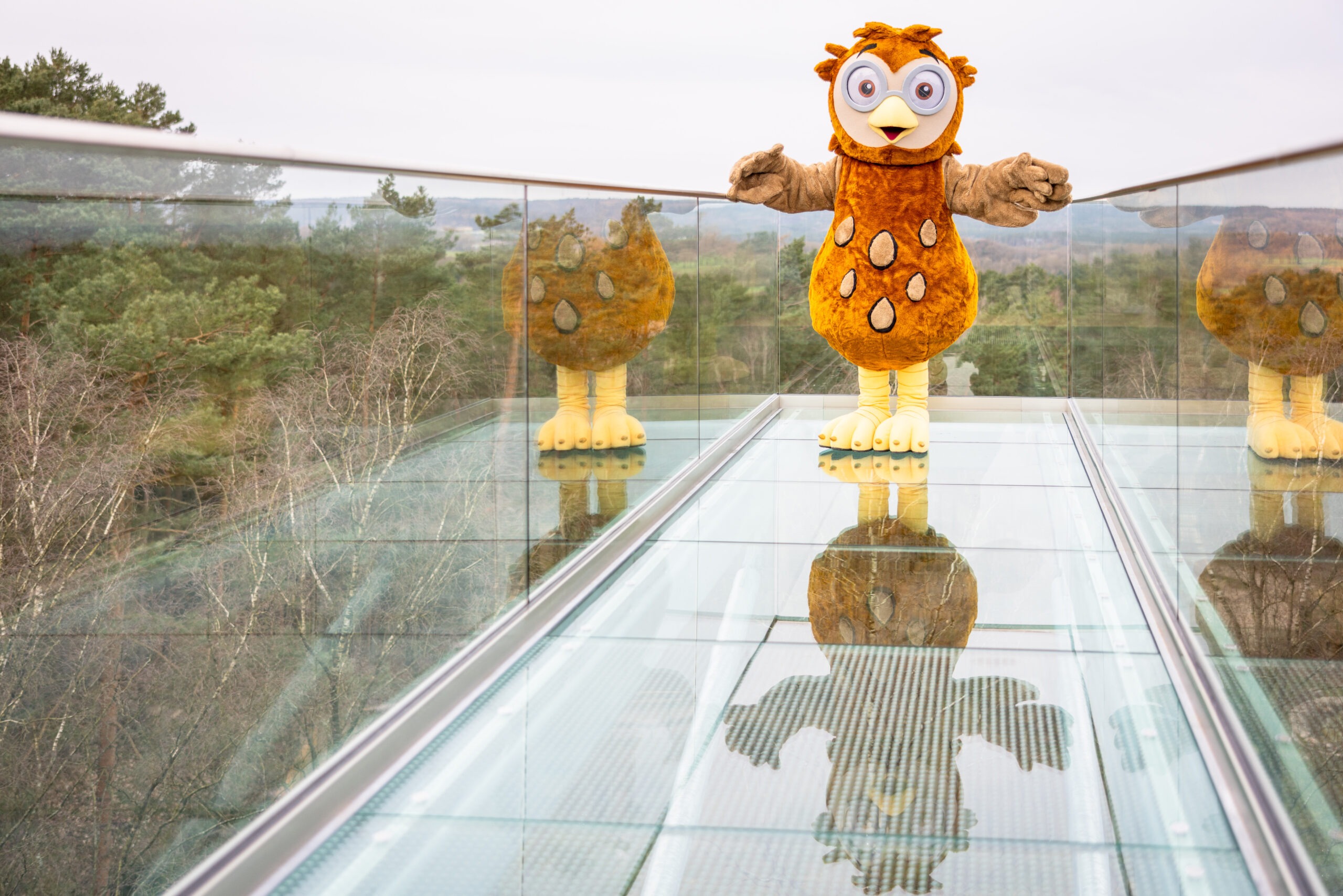 Wildpark Lüneburger Heide – Bild 4