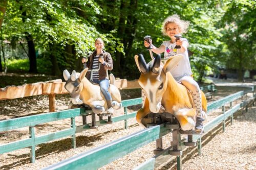 Wildpark Lüneburger Heide – Bild 5
