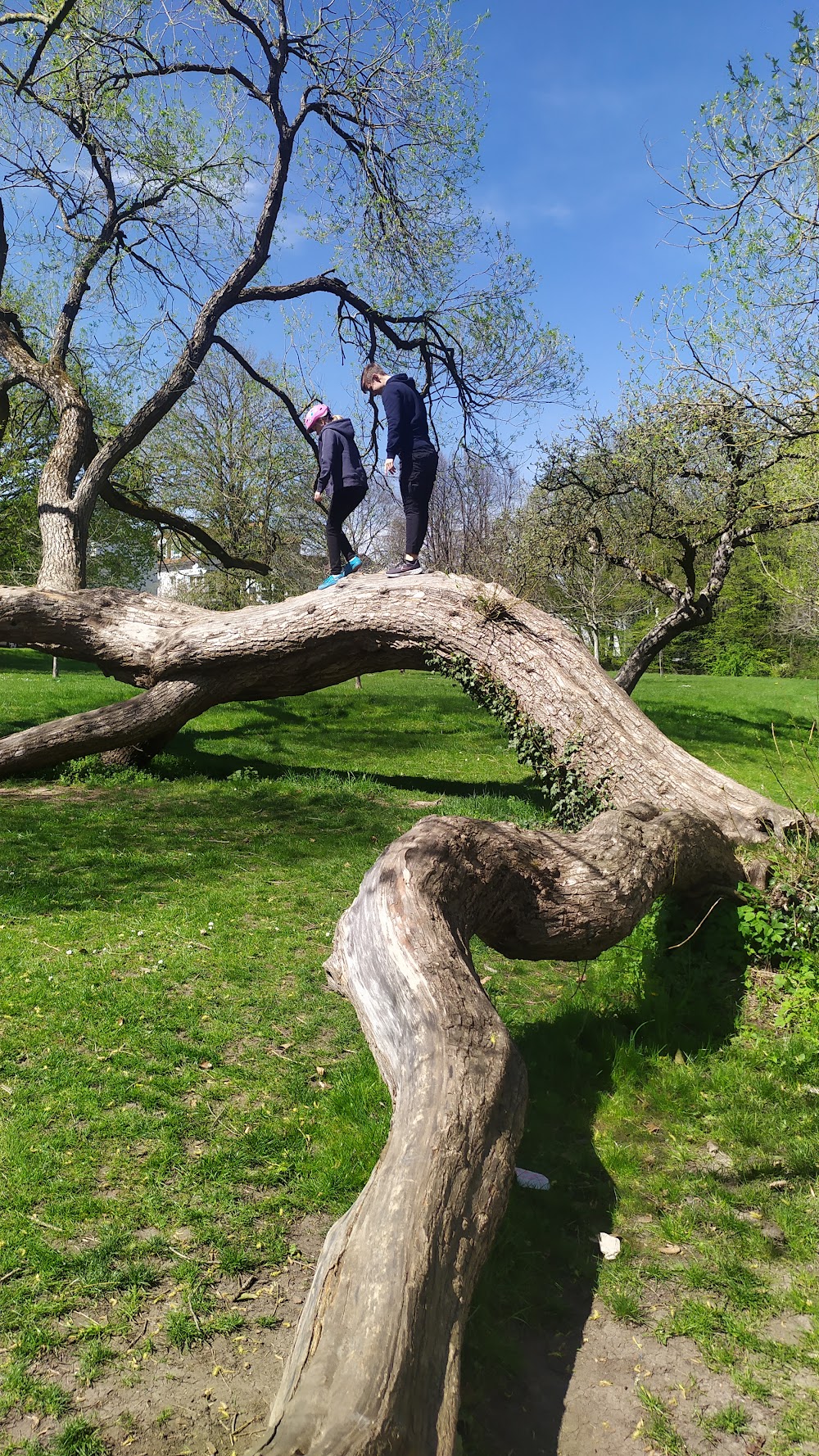 Dronfieldpark Sindelfingen – Bild 4