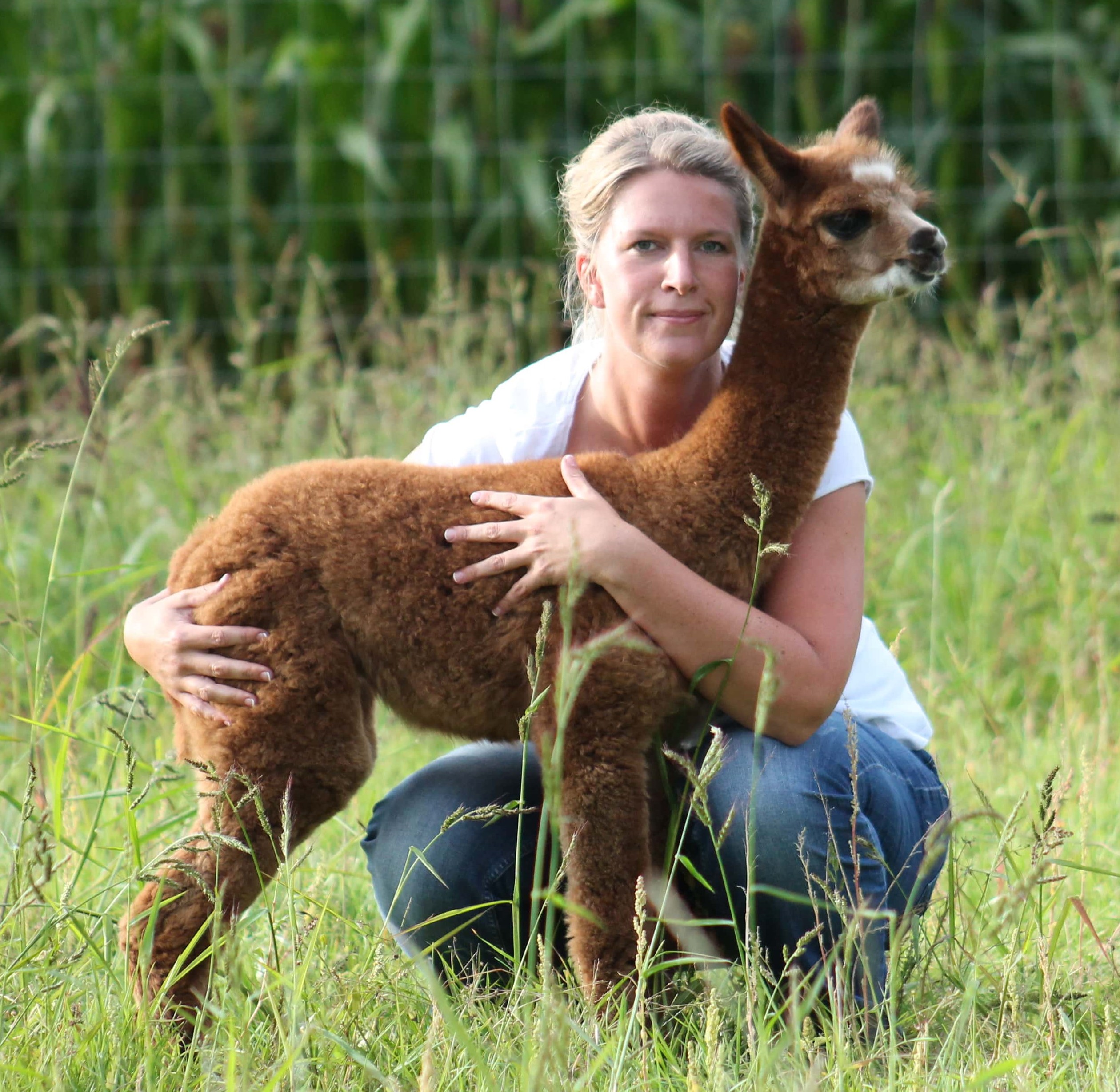 Alpakas vom Tweelbäker See Oldenburg – Bild 5