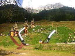 Bosco Isolino – Bild 5