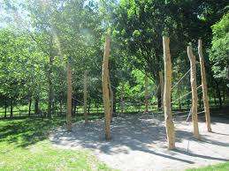 Bosco Isolino – Bild 6