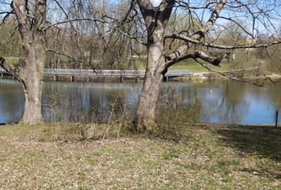 Freizeit- und Bewegungspark am Heidenberger Teich in Kiel-Mettenhof – Bild 1
