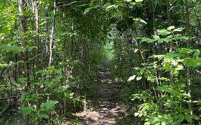 Parc des Colibris – Bild 6