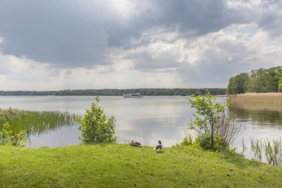 Kleistpark – Bild 3