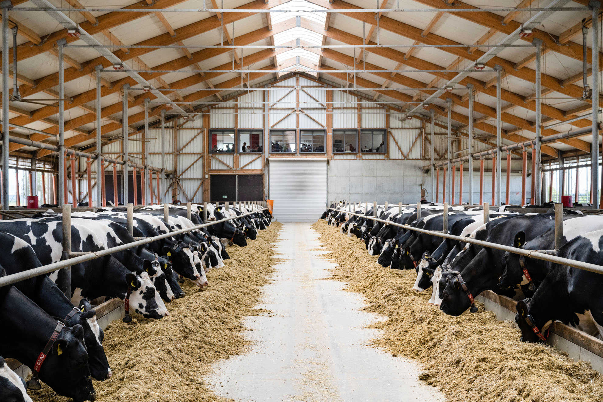 Agrargenossenschaft Kauern e.G. – Bild 6