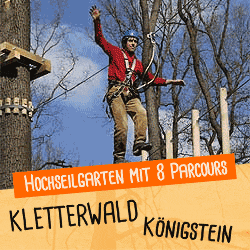 Kletterwald Königstein – Bild 1