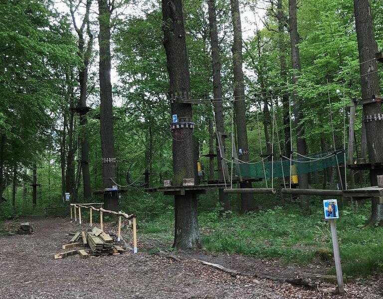 Kletterwald Königstein – Bild 2