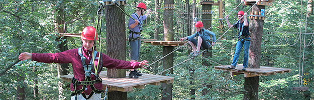 Kletterwald Königstein – Bild 4