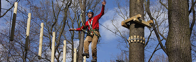 Kletterwald Königstein – Bild 5