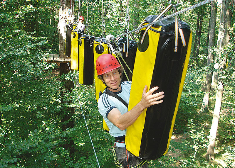 Kletterwald Königstein – Bild 6