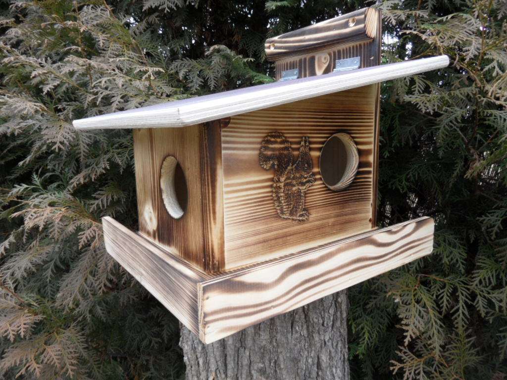 Eichhörnchenkobel – Bild 3