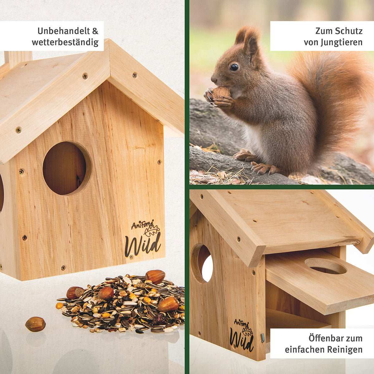 Eichhörnchenkobel – Bild 6