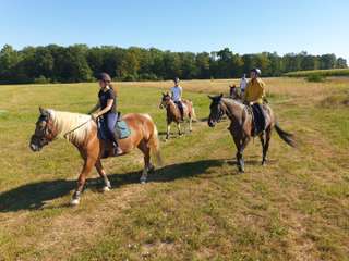 Gestüt Kaiserhof – Bild 2