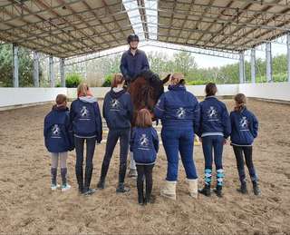 Gestüt Kaiserhof – Bild 3