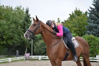 Gestüt Kaiserhof – Bild 4