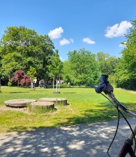 Stieghorster Park am Freizeitzentrum – Bild 4