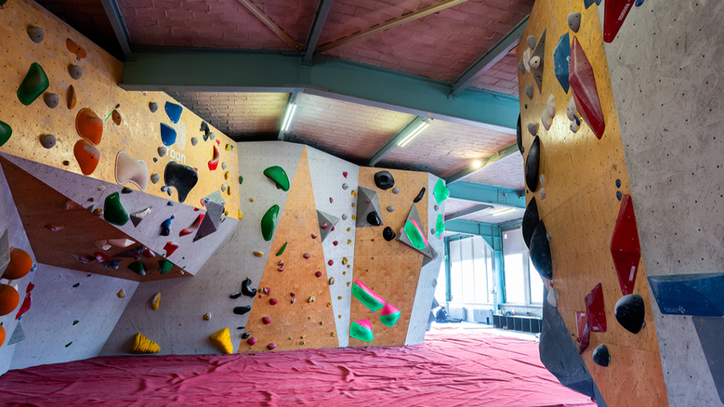 urban apes bright site – Bild 6