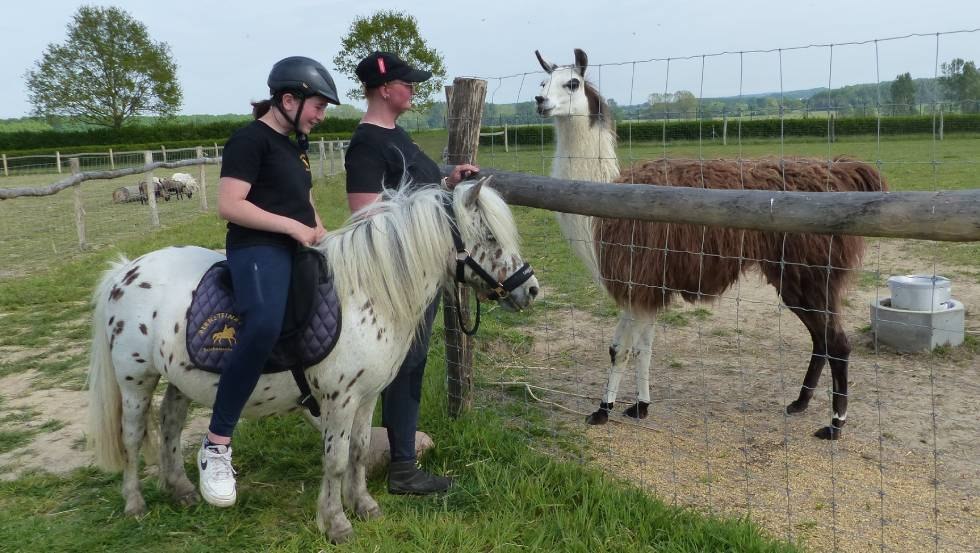 Bernsteinreiter Erlebsnisreitstation Bad Doberan – Bild 3
