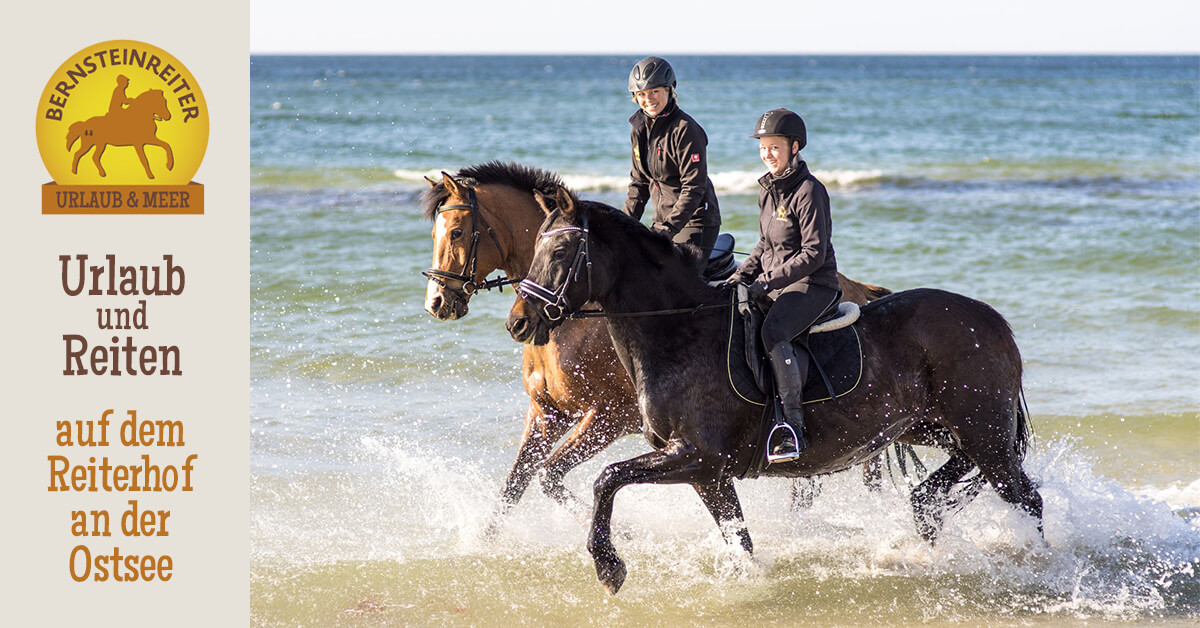 Bernsteinreiter Erlebsnisreitstation Bad Doberan – Bild 4