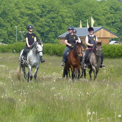 Bernsteinreiter Erlebsnisreitstation Bad Doberan – Bild 5