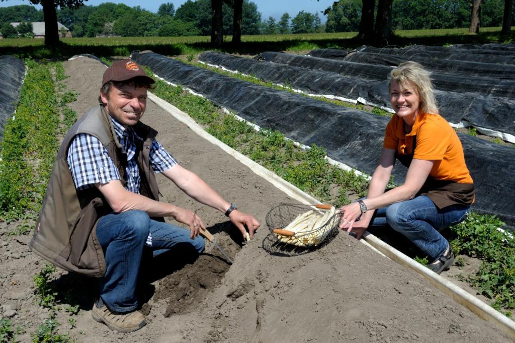 Bauer Lange – Bild 3