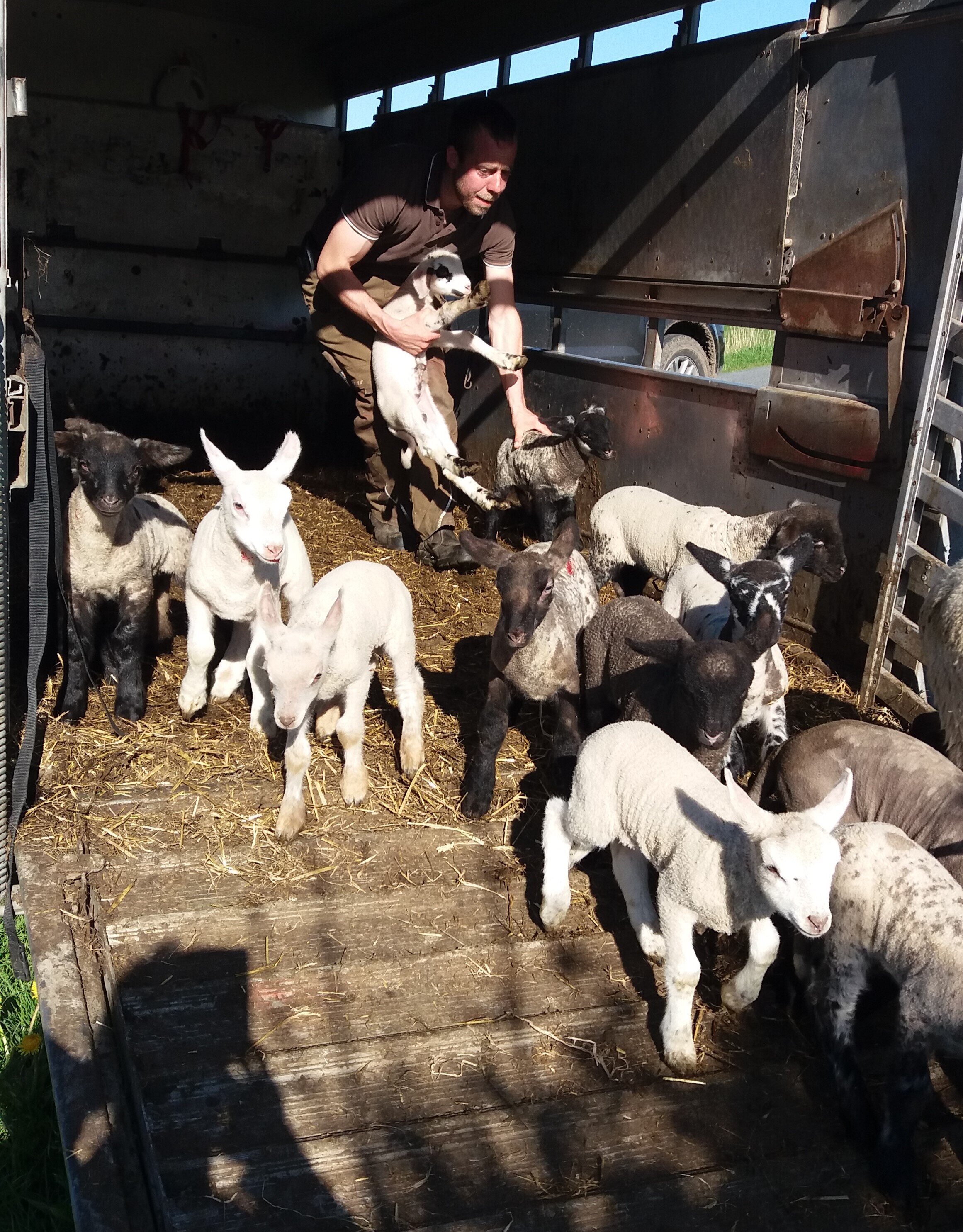 Bauernhof Klützke – Bild 4