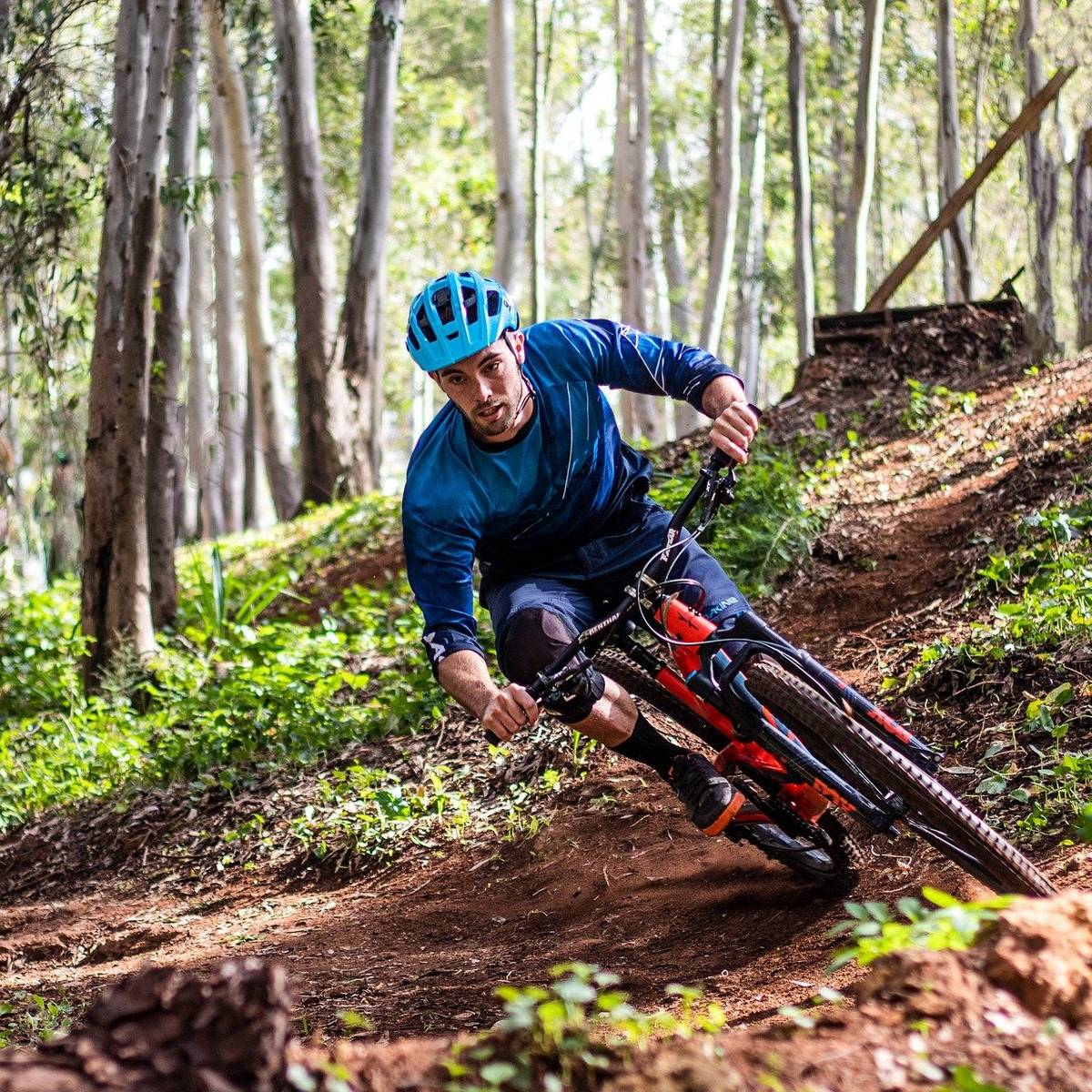 Rodelhügel – Bild 3