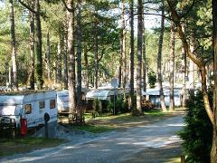 Campingplatz Wernerwald – Bild 6