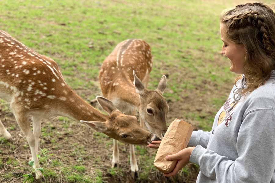 Wildpark Schmidt – Bild 4