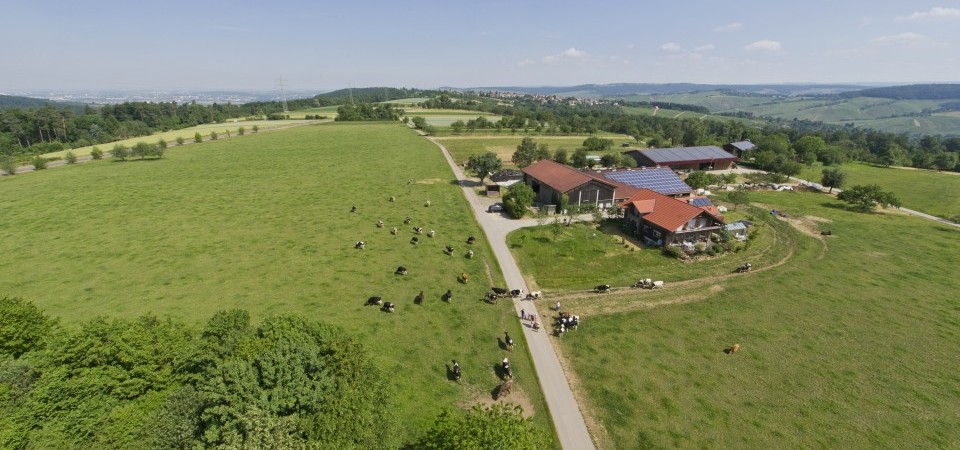 Fetzer Neuwieshof – Bild 2