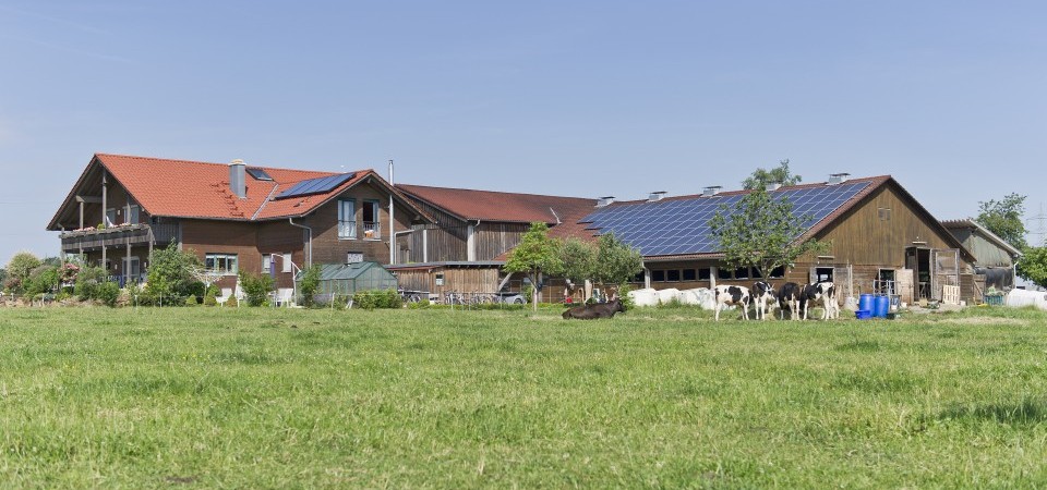 Fetzer Neuwieshof – Bild 4