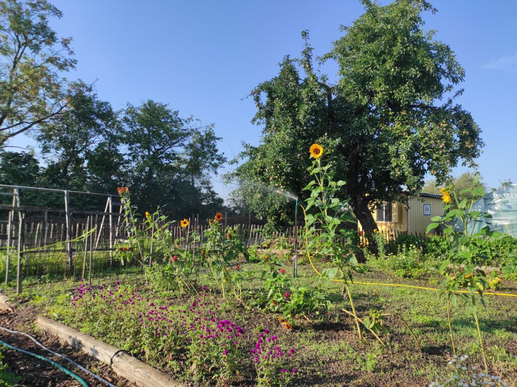 Die Hardtgärten – Bild 5