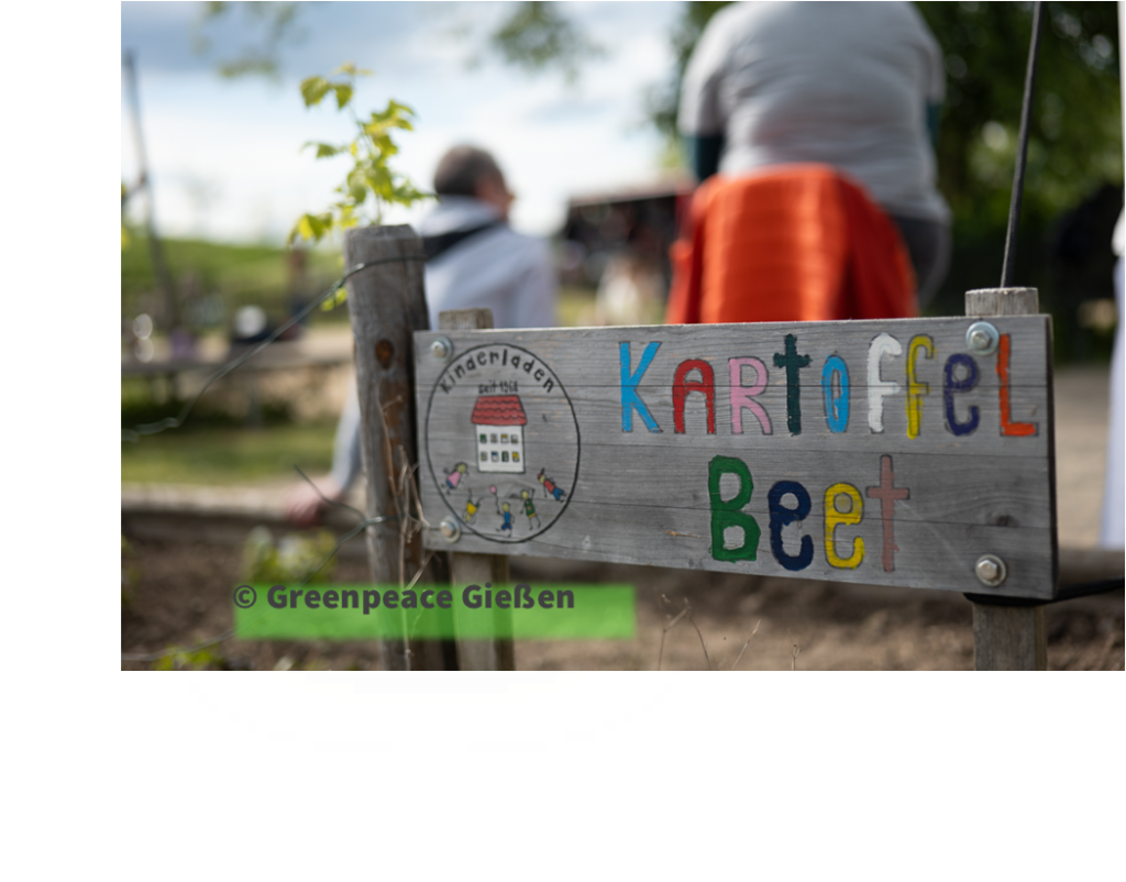 Die Hardtgärten – Bild 6