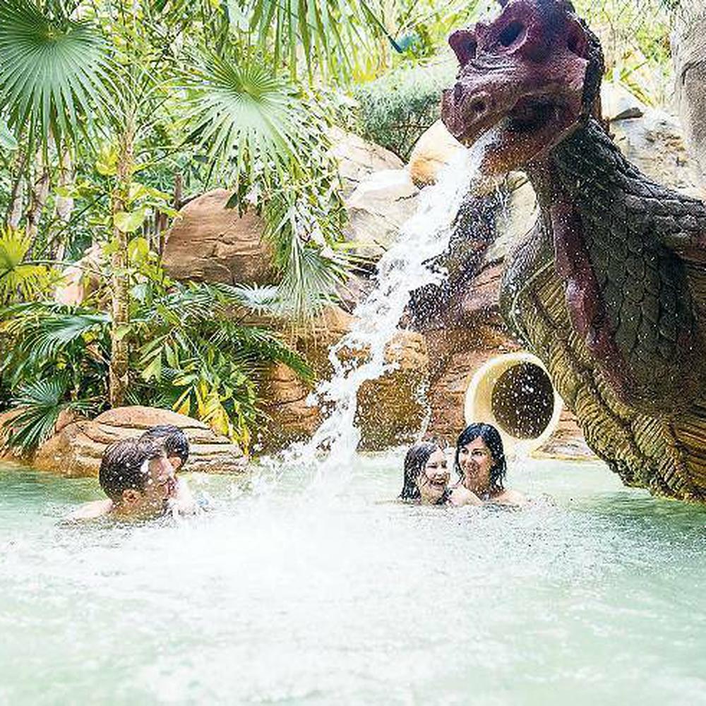 Streichelzoo Center Parcs Bispingen – Bild 5