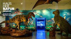 Haus der Natur - Museum für Natur und Technik – Bild 1