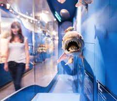 Haus der Natur - Museum für Natur und Technik – Bild 2