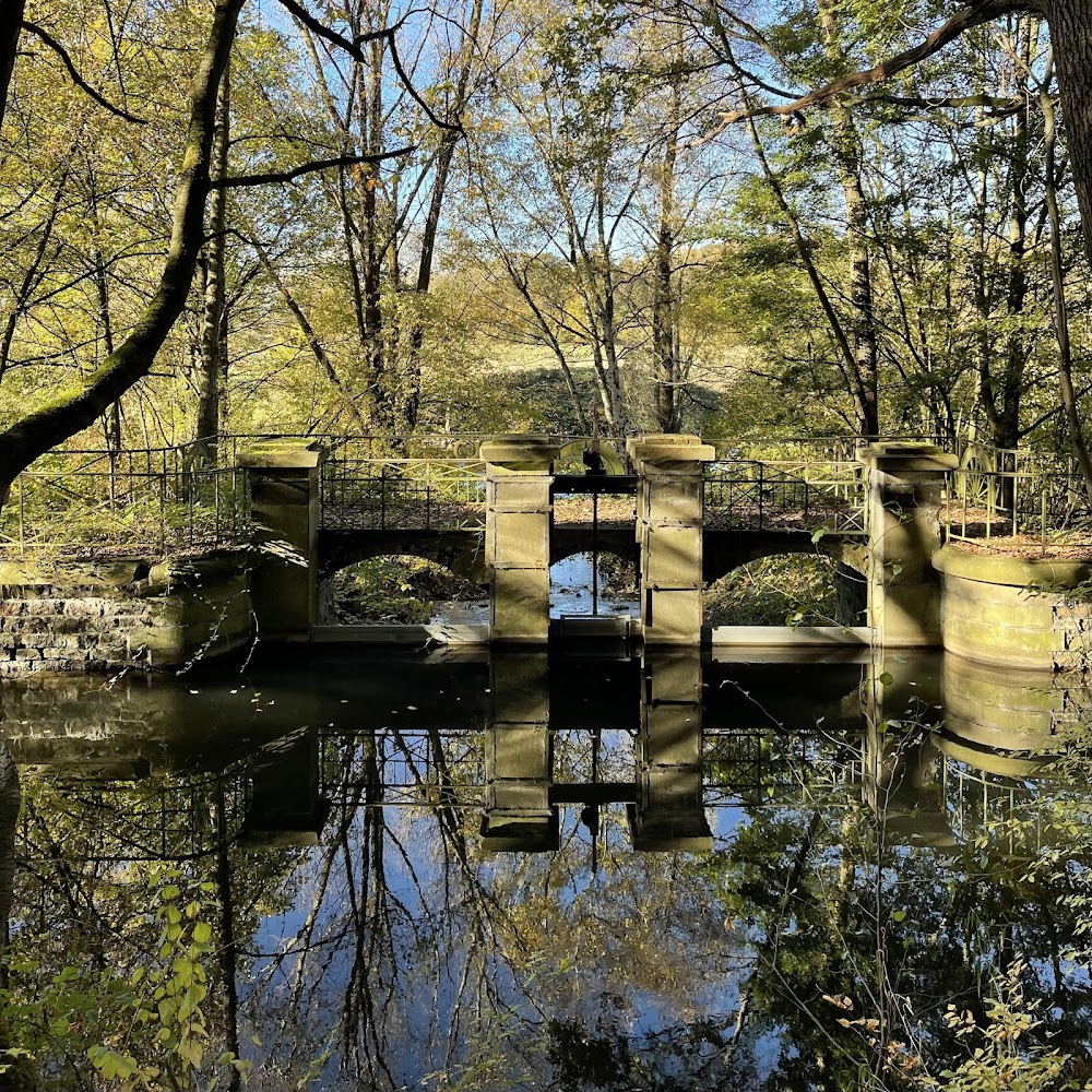 Reuschenberger Wald – Bild 1