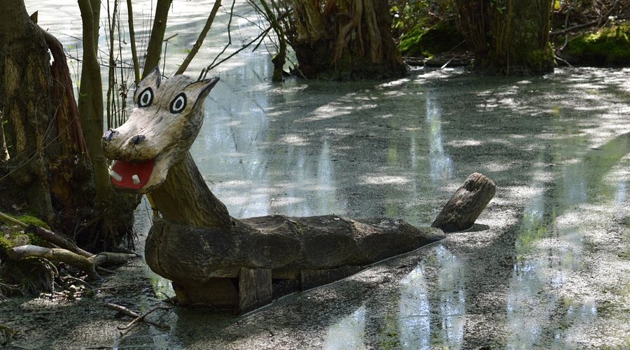 Reuschenberger Wald – Bild 4