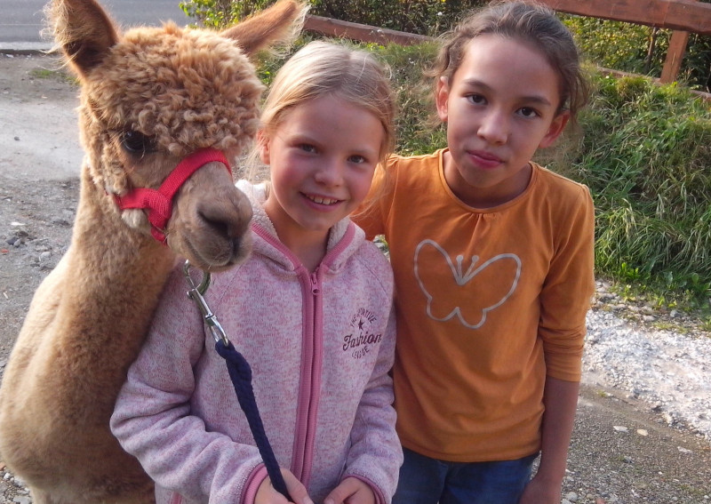 Tierhof am Eichenwäldchen (Alpaka-Hof) – Bild 4