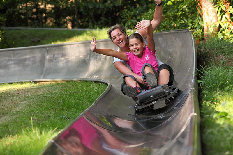 Fichtenflitzer – Bild 1