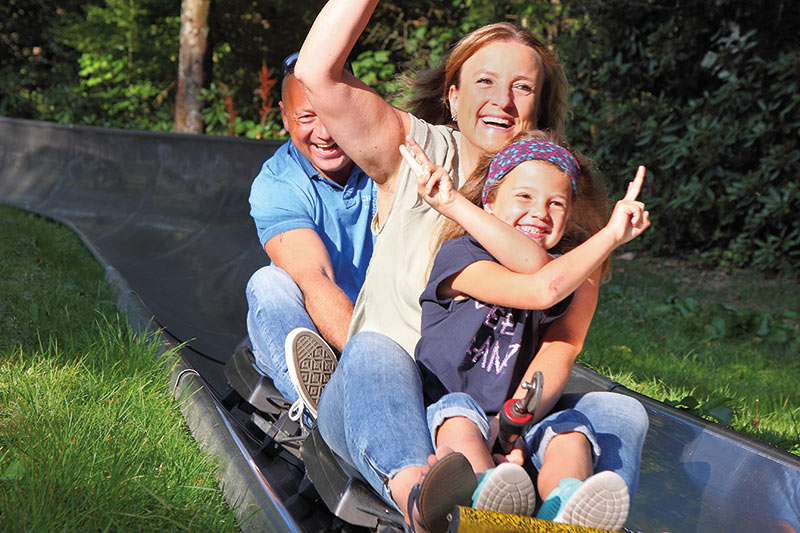 Fichtenflitzer – Bild 3