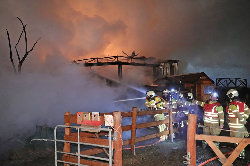 Kinder- und Jugendfarm "Spielwiese" – Bild 3